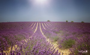 comp__MG_4552-Bearbeitet.jpg comp__MG_4552-Bearbeitet.jpg