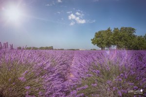 comp__MG_4617-Bearbeitet.jpg comp__MG_4617-Bearbeitet.jpg