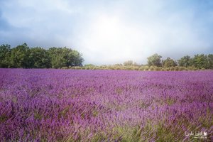 comp__MG_4618-Bearbeitet.jpg comp__MG_4618-Bearbeitet.jpg