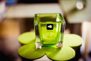 20150722-GS7A4479-2 bearb..jpg