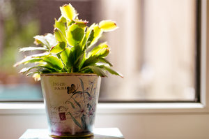 20150722-GS7A4487-3 bearb..jpg