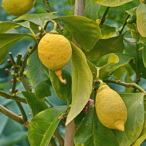 JPG_2855 Kopie_Bildgröße ändern.jpg