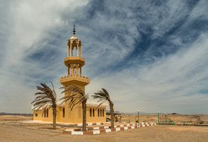 IMG_3869.jpg IMG_3869.jpg