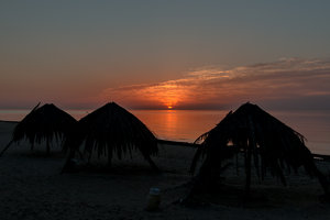 IMG_5546.jpg IMG_5546.jpg