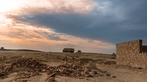 IMG_5116.jpg IMG_5116.jpg