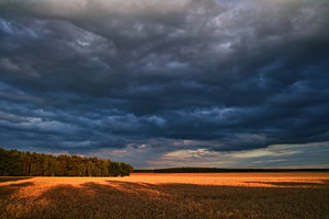 2015_07_20_DP1x_Ottmannsdorf_Feld_Wolken_Abendsonne_0145_0147_VarA_DT01_1350x900pix.jpg 2015_07_20_DP1x_Ottmannsdorf_Feld_Wolken_Abendsonne_0145_0147_VarA_DT01_1350x900pix.jpg