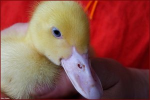 Bild -1.jpg Bild -1.jpg