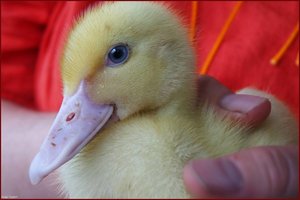 Bild -3.jpg Bild -3.jpg