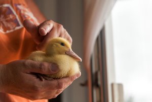 comp_IMG_3331.jpg comp_IMG_3331.jpg