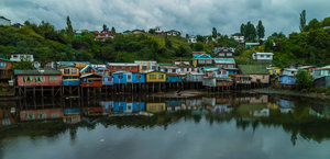 SDIM3397.jpg SDIM3397.jpg