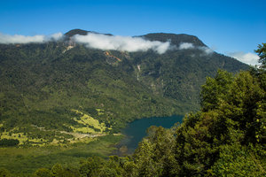 SDIM3931.jpg SDIM3931.jpg