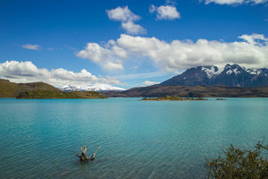 SDIM3159.jpg SDIM3159.jpg