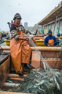 SDIM4251.jpg SDIM4251.jpg