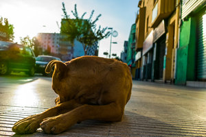 SDIM4600.jpg SDIM4600.jpg