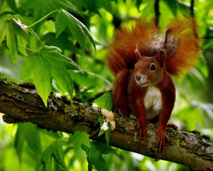 attachment_php-b.jpg attachment_php-b.jpg