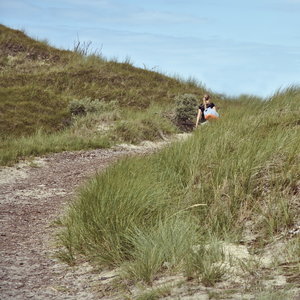 zwischen_die_Duenen___waldschratifiziert.jpg