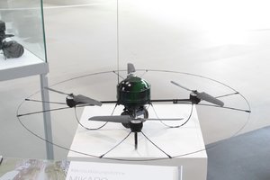 comp_IMG_2461.jpg comp_IMG_2461.jpg