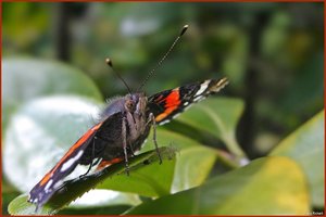 Bild -15.jpg Bild -15.jpg