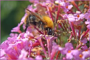 Bild -21.jpg Bild -21.jpg