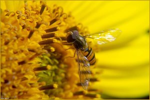 Bild -12.jpg Bild -12.jpg