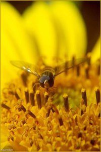 Bild -13.jpg Bild -13.jpg