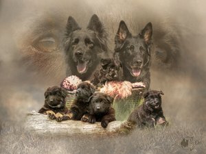 comp_E-chen Bergstätte.jpg