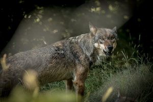 IMG_3359.jpg IMG_3359.jpg