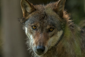 IMG_3580.jpg IMG_3580.jpg