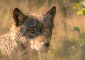 IMG_3633.jpg IMG_3633.jpg