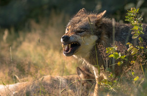 IMG_3662.jpg IMG_3662.jpg