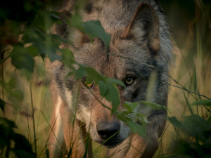 IMG_3787.jpg IMG_3787.jpg