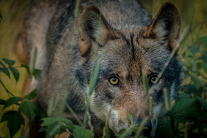 IMG_3797.jpg IMG_3797.jpg