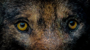 IMG_3797-3.jpg IMG_3797-3.jpg