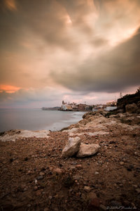 IMG_8018_Netz.jpg IMG_8018_Netz.jpg