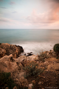 IMG_8030_Netz.jpg IMG_8030_Netz.jpg