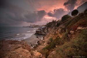 IMG_8042_Netz.jpg IMG_8042_Netz.jpg