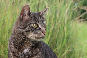 IMG_8025a.jpg IMG_8025a.jpg