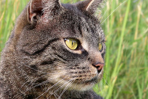 IMG_8024a.jpg IMG_8024a.jpg