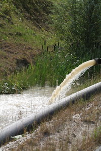 Sonja Tagebau -7.jpg