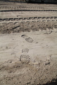 Sonja Tagebau -3.jpg