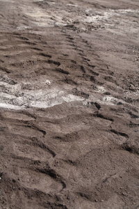 Sonja Tagebau -12.jpg