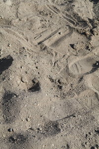 Sonja Tagebau -27.jpg