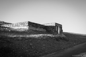 IMG_8126_Netz.jpg IMG_8126_Netz.jpg