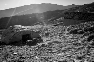 IMG_8159_Netz.jpg IMG_8159_Netz.jpg