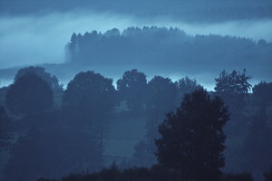 IMG_4644_01.jpg IMG_4644_01.jpg