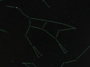 bf_0086.jpg bf_0086.jpg