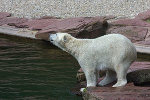 bf_0088.jpg bf_0088.jpg