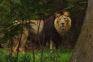 bf_0089.jpg bf_0089.jpg