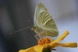 comp_comp_Best off     184 .jpg