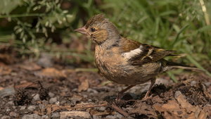 IMG_4397.jpg IMG_4397.jpg